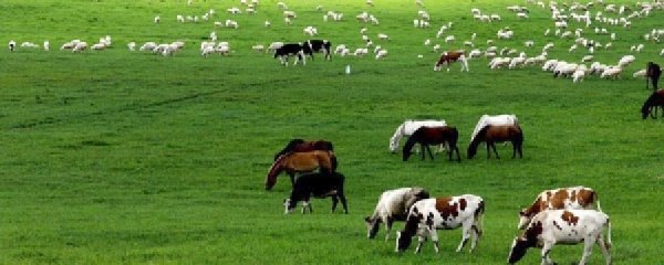 БАРУУН АЙМГУУДАД БЭЛЧЭЭРИЙН ДААЦ ХЭТЭРЧЭЭ