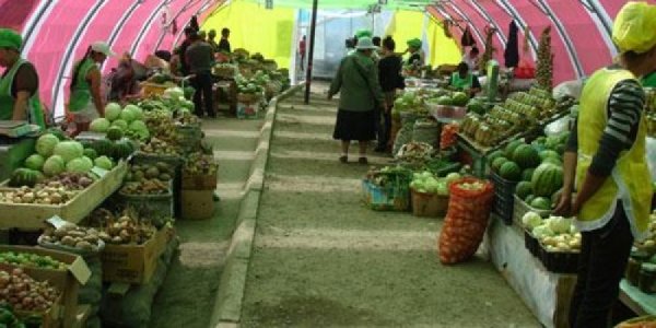 ЗУРГААН ДҮҮРЭГТ ХҮНСНИЙ НОГООНЫ ҮЗЭСГЭЛЭН ХУДАЛДАА ГАРЧ БАЙНА