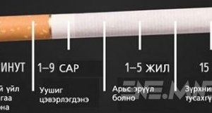 Тамхи хүн төрөлхтнийг үхэлд хүргэдэг.....