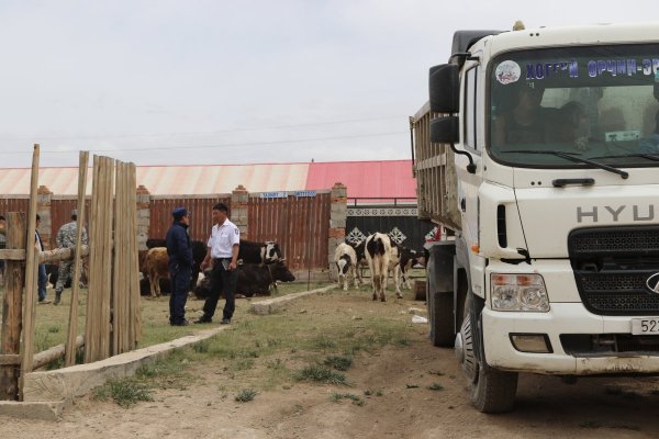 Л.Тулгабаатар: СХД-ийн хэмжээнд хориглосон бүсээс мал бүхий иргэдийг нүүлгэн шилжүүлэх ажил 67.6 хувьтай явж байна