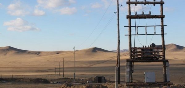 Аадар бороо, хүчтэй салхины улмаас гурван аймгийн 10 сумын цахилгаан тасраад байна