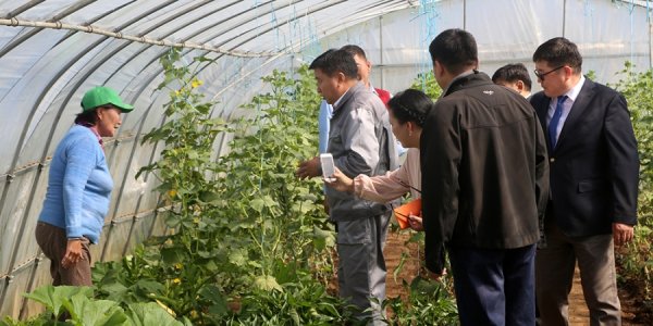 АЖИЛГҮЙ ИРГЭД ХҮНСНИЙ НОГОО ТАРЬЖ, 3.5-5 САЯ ТӨГРӨГИЙН ОРЛОГО ОЛЖ БАЙНА