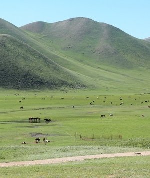 Нийслэл хот хөдөө аж ахуйн бүстэй болов