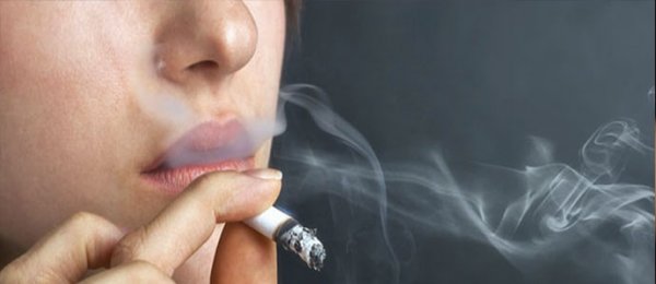 Тамхи бол бага тунтай хор