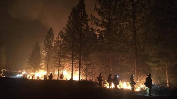 Калифорнид түймрийн улмаас амиа алдсан хүний тоо нэмэгдсээр байна