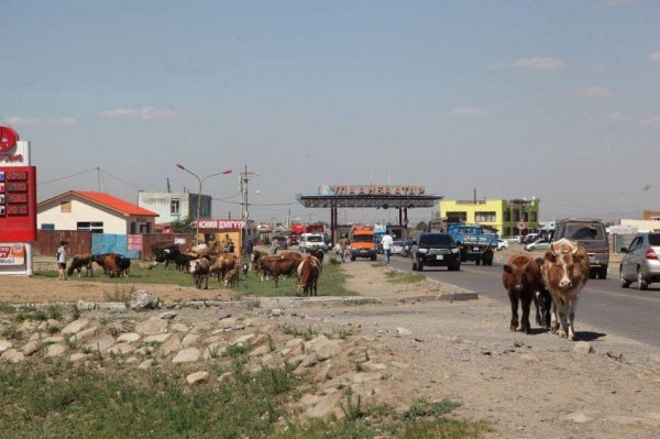 Дараах газруудад мал аж ахуй эрхэлж буй иргэдийг нүүлгэн шилжүүлнэ
