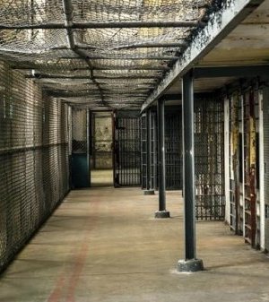 Нью-Йорк хотын дарга 300 хоригдлыг суллах захирамж гаргажээ